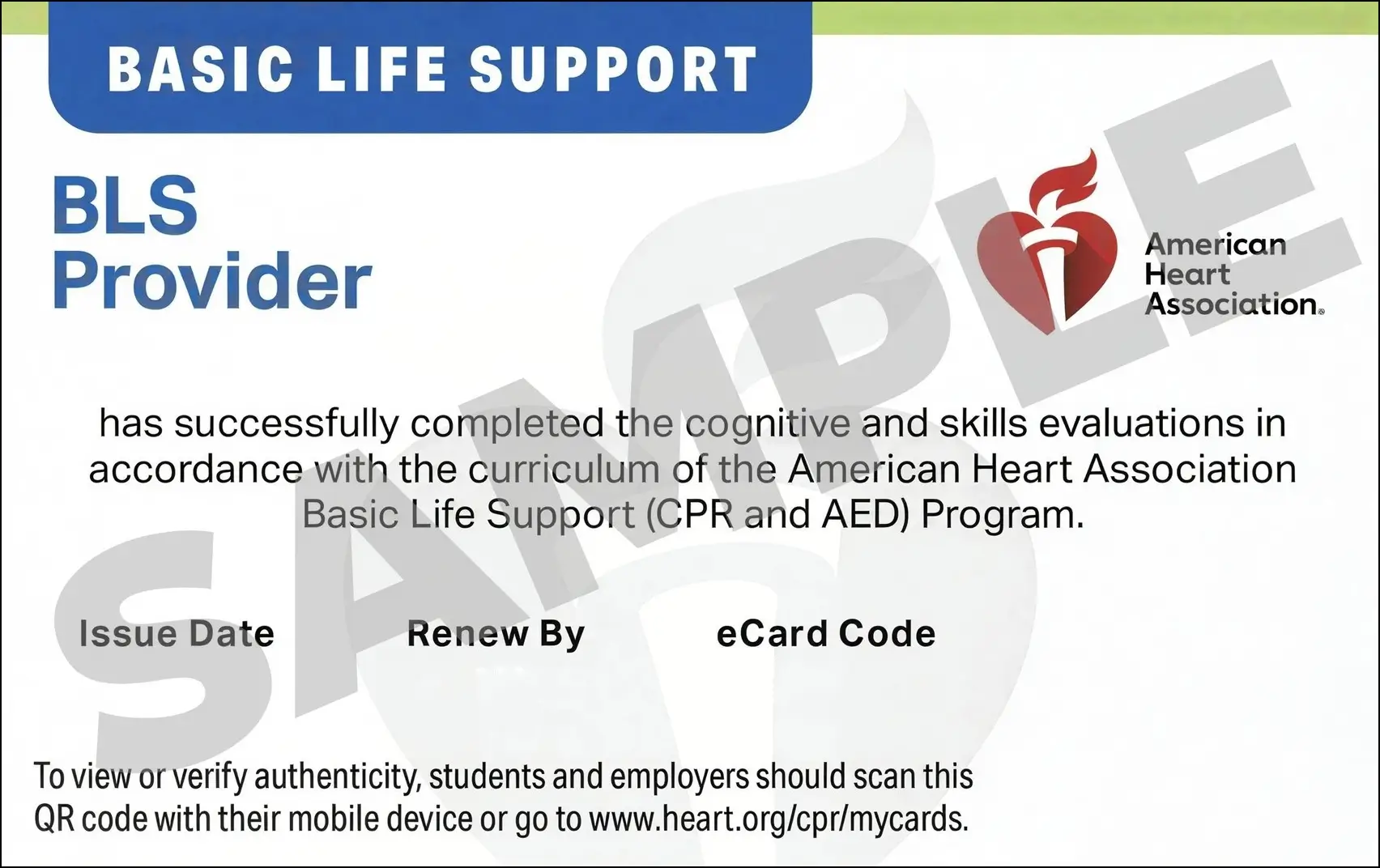 Sample American Heart Association AHA BLS CPR Card Certification from CPR Certification Fort Lauderdale